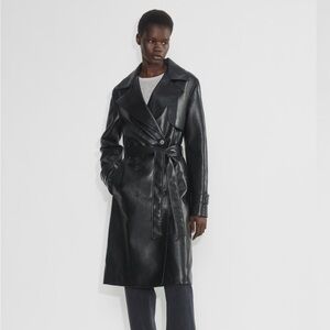 Aritzia Babaton Tabloid Trench Coat